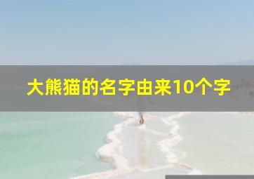 大熊猫的名字由来10个字