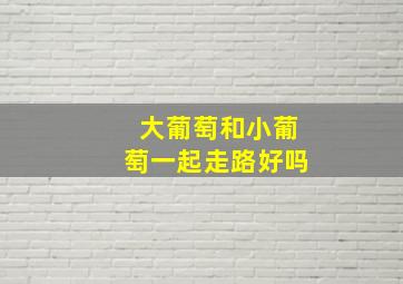 大葡萄和小葡萄一起走路好吗