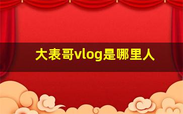 大表哥vlog是哪里人