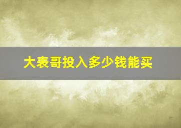 大表哥投入多少钱能买