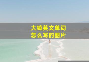 大镲英文单词怎么写的图片