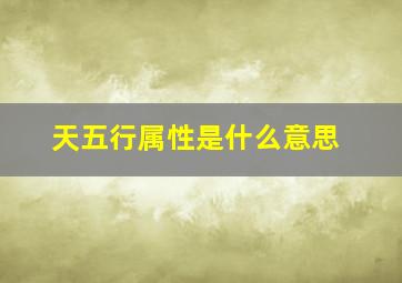 天五行属性是什么意思