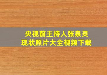 央视前主持人张泉灵现状照片大全视频下载