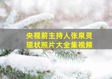 央视前主持人张泉灵现状照片大全集视频