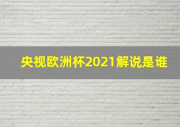 央视欧洲杯2021解说是谁