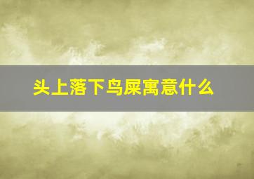 头上落下鸟屎寓意什么