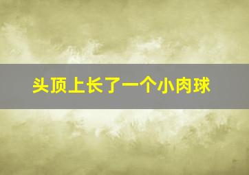 头顶上长了一个小肉球