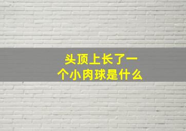 头顶上长了一个小肉球是什么