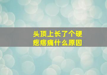 头顶上长了个硬疙瘩痛什么原因