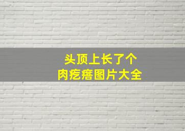 头顶上长了个肉疙瘩图片大全