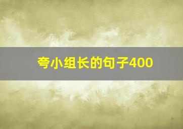 夸小组长的句子400