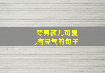 夸男孩儿可爱,有灵气的句子