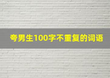 夸男生100字不重复的词语