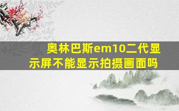 奥林巴斯em10二代显示屏不能显示拍摄画面吗