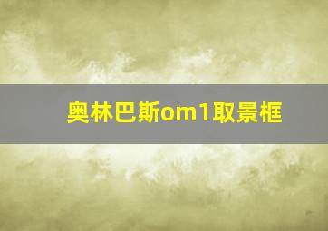 奥林巴斯om1取景框