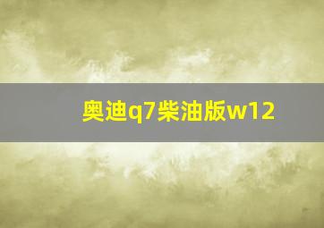 奥迪q7柴油版w12