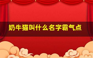 奶牛猫叫什么名字霸气点