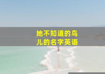 她不知道的鸟儿的名字英语