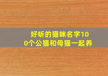 好听的猫咪名字100个公猫和母猫一起养