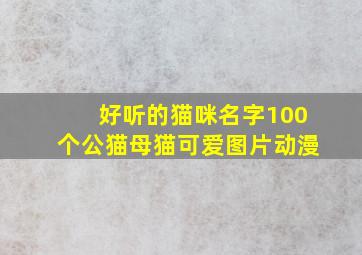 好听的猫咪名字100个公猫母猫可爱图片动漫