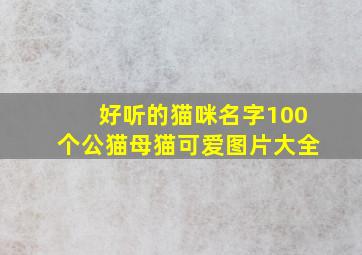 好听的猫咪名字100个公猫母猫可爱图片大全