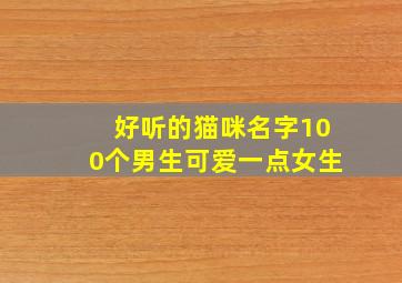 好听的猫咪名字100个男生可爱一点女生