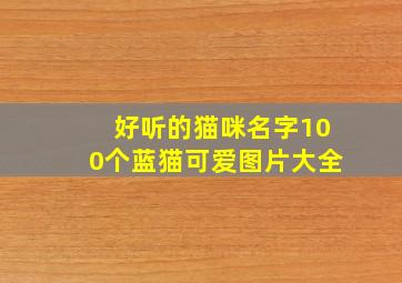 好听的猫咪名字100个蓝猫可爱图片大全