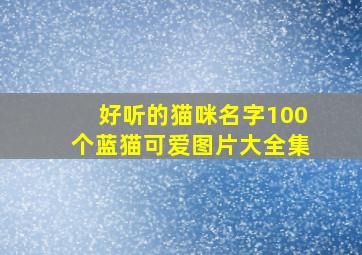 好听的猫咪名字100个蓝猫可爱图片大全集