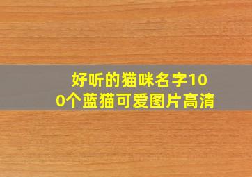 好听的猫咪名字100个蓝猫可爱图片高清