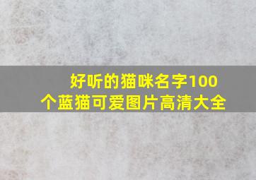 好听的猫咪名字100个蓝猫可爱图片高清大全