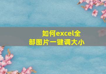 如何excel全部图片一键调大小