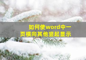 如何使word中一页横向其他竖起显示