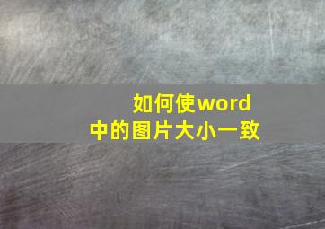 如何使word中的图片大小一致