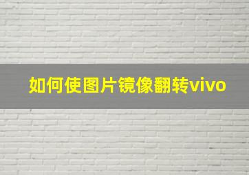 如何使图片镜像翻转vivo