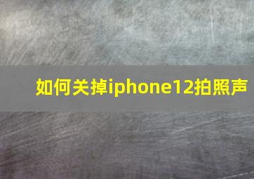 如何关掉iphone12拍照声