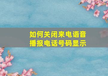 如何关闭来电语音播报电话号码显示