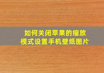 如何关闭苹果的缩放模式设置手机壁纸图片