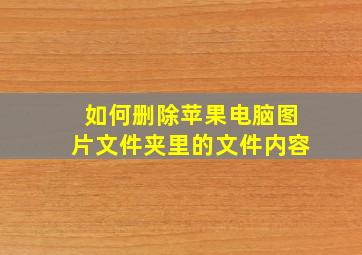 如何删除苹果电脑图片文件夹里的文件内容