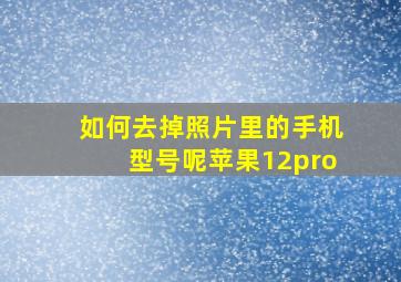 如何去掉照片里的手机型号呢苹果12pro