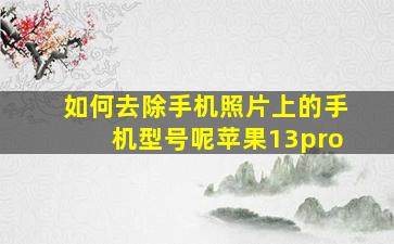 如何去除手机照片上的手机型号呢苹果13pro