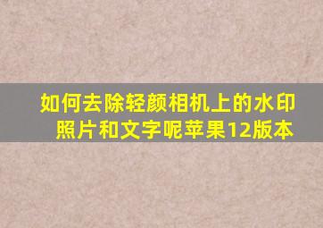 如何去除轻颜相机上的水印照片和文字呢苹果12版本