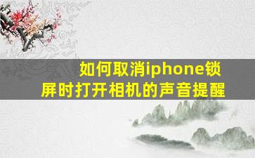 如何取消iphone锁屏时打开相机的声音提醒