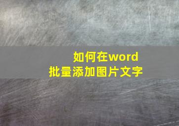 如何在word批量添加图片文字