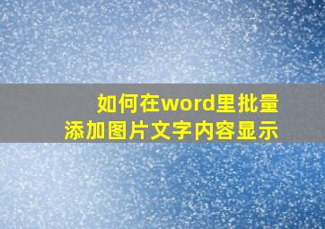 如何在word里批量添加图片文字内容显示