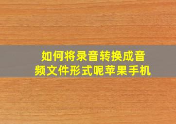 如何将录音转换成音频文件形式呢苹果手机