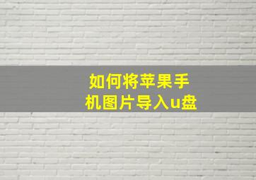 如何将苹果手机图片导入u盘