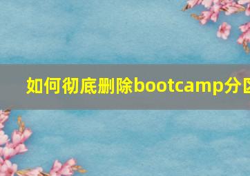 如何彻底删除bootcamp分区