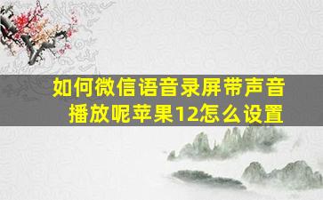 如何微信语音录屏带声音播放呢苹果12怎么设置