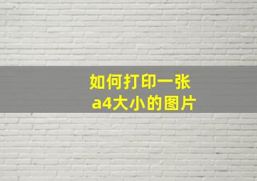 如何打印一张a4大小的图片