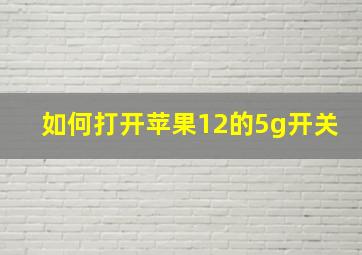 如何打开苹果12的5g开关